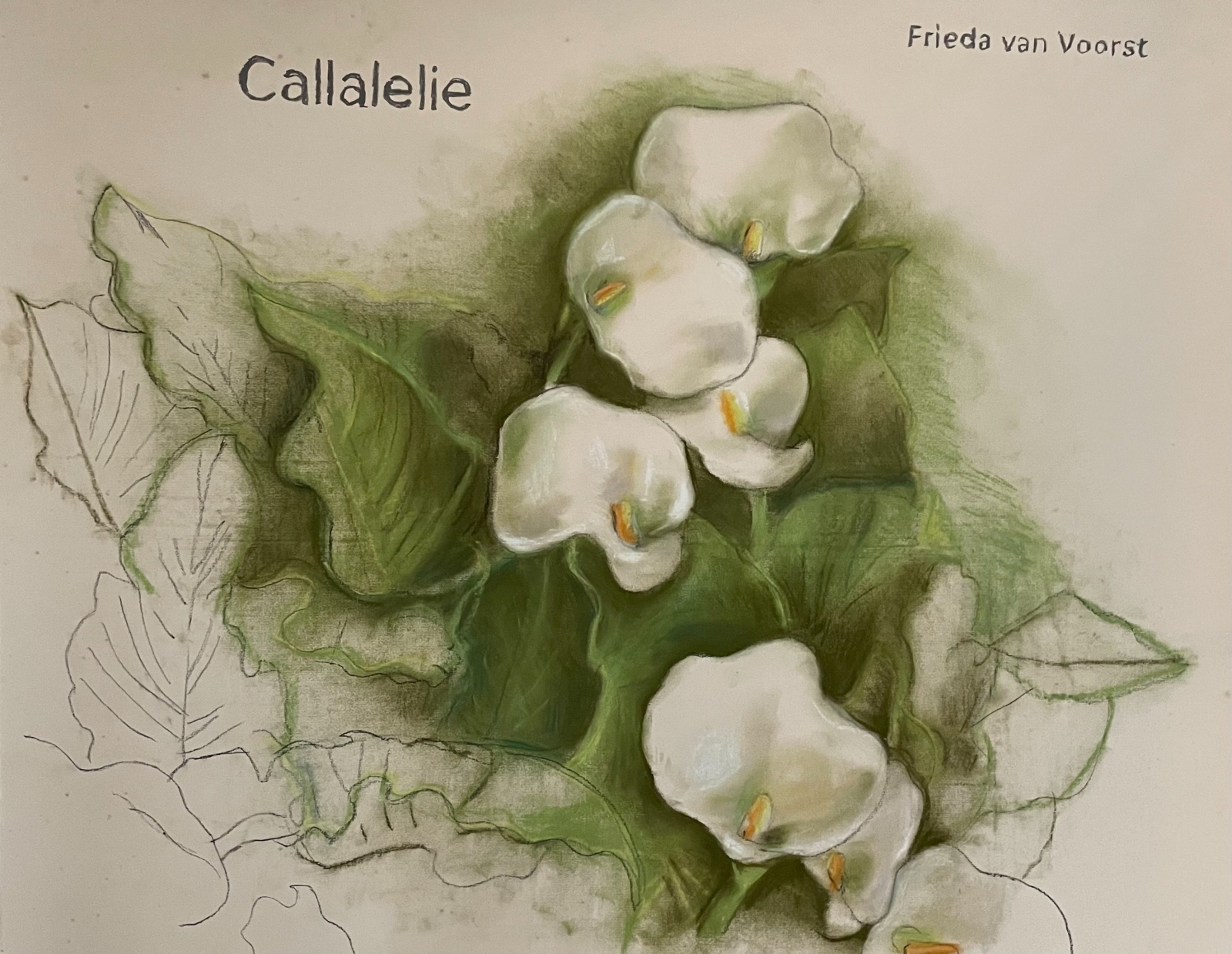 Callalelie