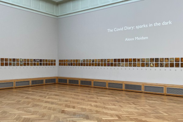 Alexx Meidam - The Covid Diary: sparks in the dark