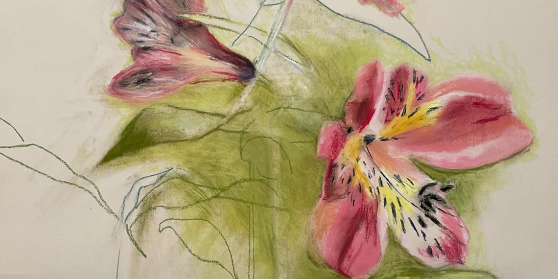 De Gaanderij | De keuze van Frieda van Voorst - Botanische tekeningen