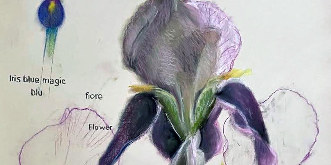 De Gaanderij | De keuze van Frieda van Voorst - Botanische tekeningen