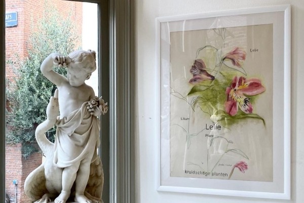De Gaanderij | De keuze van Frieda van Voorst - Botanische tekeningen