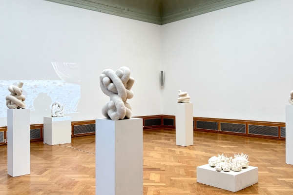 Pia Jaeyoon Kim - Fluffy Asteroid