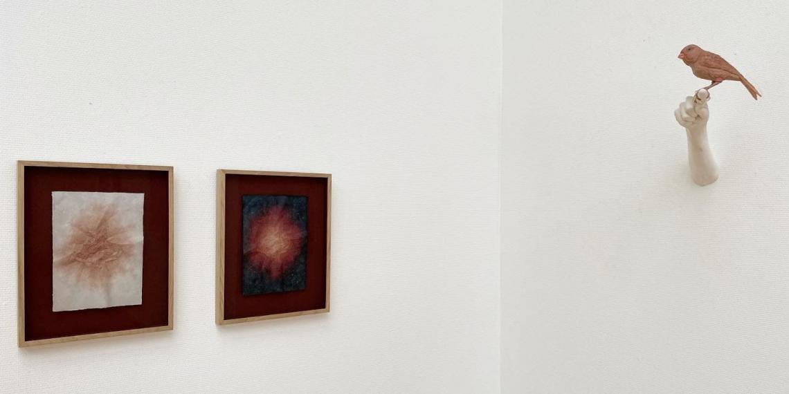 Van Ommeren - De Voogt Prijs 2020 - Genomineerden en winnaar