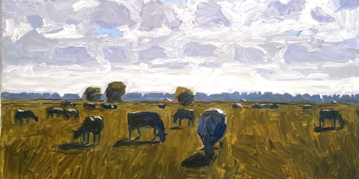 Bert Welmers - IJssellandschappen