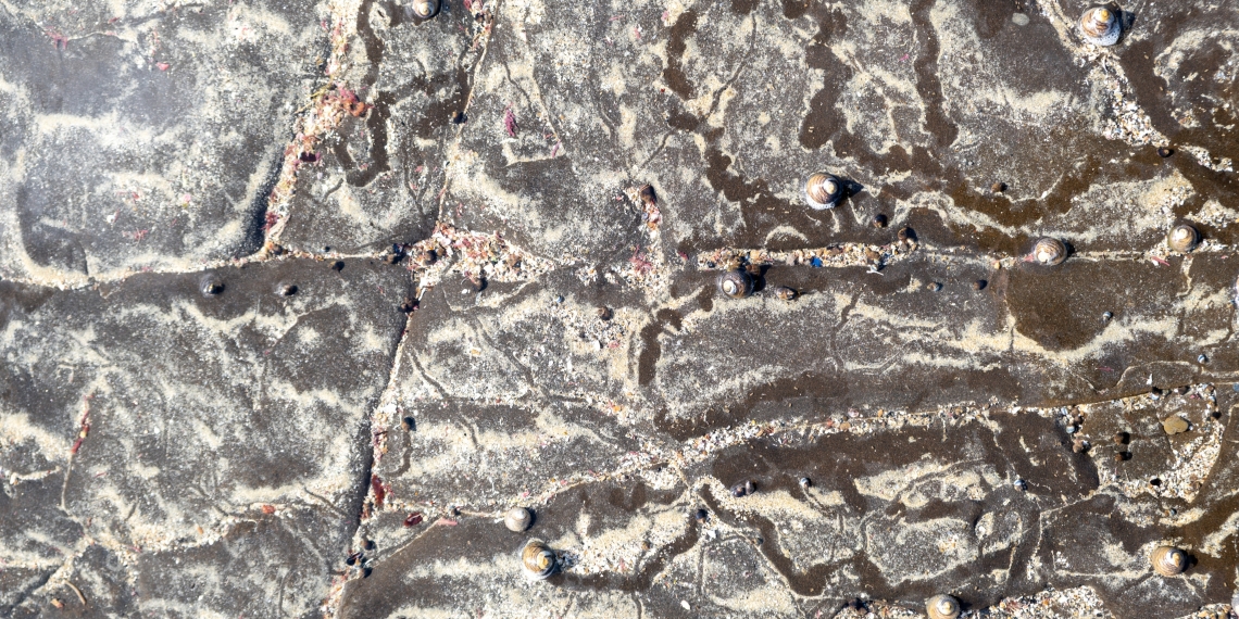 Loek Prins - Glenorchy