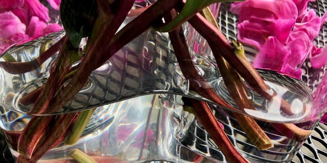 Rik Linssen - MOMENT