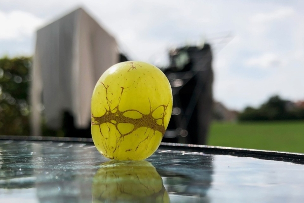 Rik Linssen - MOMENT