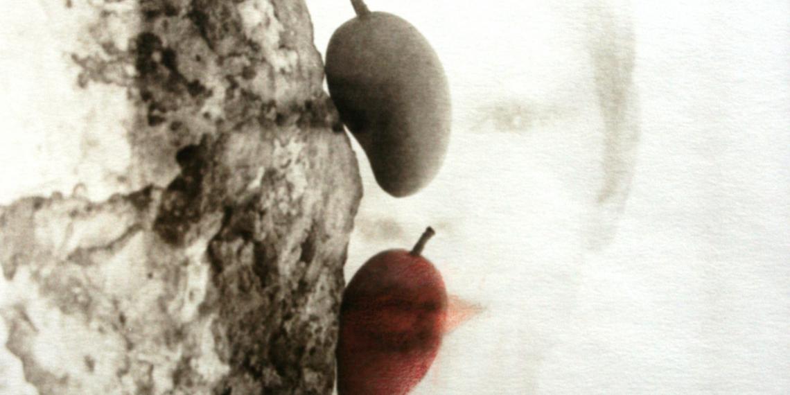 Tineke Vulto - Schatten van de wereld
